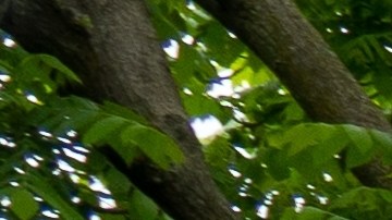 Las puertas de la luna tienen un significado espiritual.