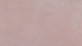 El 14 de octubre se destejan diversos santos.