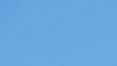 Dron