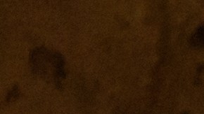 El 1 de noviembre tiene un significado para todos los santos.