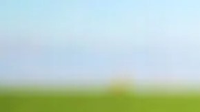 Los mexicanos son clave para la agricultura en California.