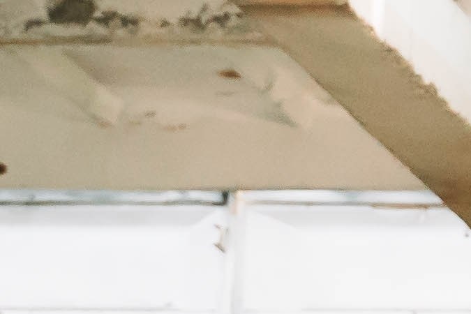 Amazon vende "la casa del futuro" a solo $35,000: parece una nave espacial