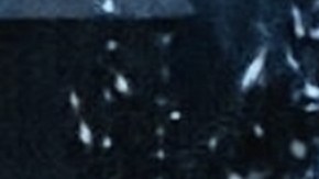 Ernestina Sodi y Thalía