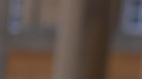 Zelenski: Si EE.UU. recorta la ayuda militar "perderemos"