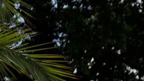 María Corina Machado y Edmundo González Urrutia son los líderes de la oposición en Venezuela.