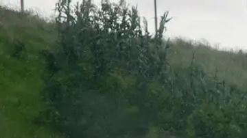 España otra vez en alerta por nuevo temporal