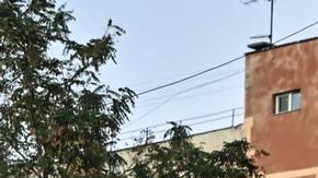 Rescatistas ucranianos buscan víctimas y sobrevivientes de un reciente bombardeo ruso sobre una zona residencial de Zaporhiya, en la zona sur de Ucrania.