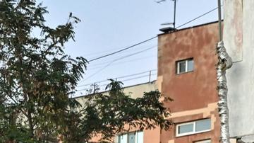 Rescatistas ucranianos buscan víctimas y sobrevivientes de un reciente bombardeo ruso sobre una zona residencial de Zaporhiya, en la zona sur de Ucrania.