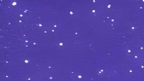 La bacteria Mycobacterium tuberculosis causa la tuberculosis y es uno de los patógenos más peligrosos del mundo.