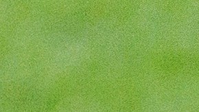 El delantero mexicano del Feyenoord, Santiago Giménez, durante el entrenamiento en el estadio Civitas Metropolitano previo al partido de la fase de grupos de la pasada edición de la Champions League ante el Atlético de Madrid.