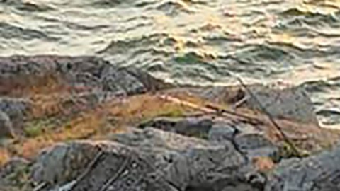 Gobierno de Biden autoriza el suministro de minas antipersonal a Ucrania