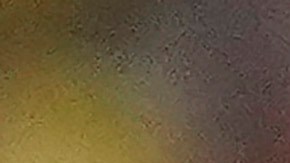 El astro brasileño Vinícius Júnior se perdió la pasada doble fecha de las eliminatorias sudamericanas.