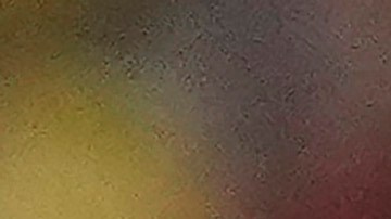 El astro brasileño Vinícius Júnior se perdió la pasada doble fecha de las eliminatorias sudamericanas.