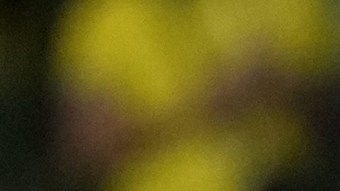 Neymar en lamento durante un juego de Brasil.