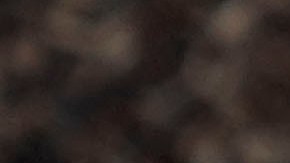 Al menos 36 personas transgénero han muerto a causa de la violencia desde el último Día del Recuerdo, señaló la Campaña de Derechos Humanos.