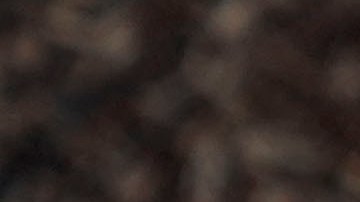 Al menos 36 personas transgénero han muerto a causa de la violencia desde el último Día del Recuerdo, señaló la Campaña de Derechos Humanos.