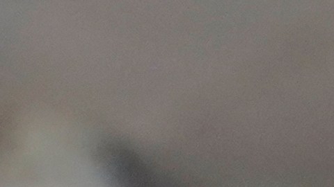 El senador republicano Mike Rounds propone eliminar el Departamento de Educación, como Trump prometió que haría durante su campaña.