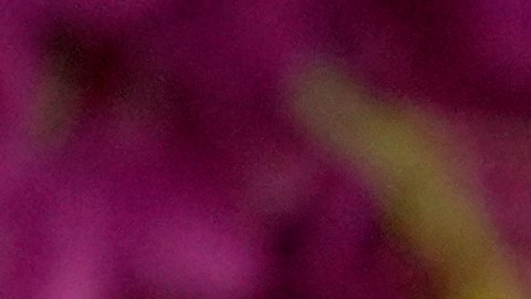 Gabrielle Union y Dwyane Wade