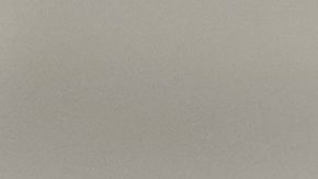 Javier Mascherano jugó junto a essi en la selección de Argentina y el FC Barcelona.