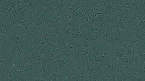 Blake Snell, quien jugó la temporada anterior con los Giants de San Francisco, se sumará al elenco de lanzadores de los campeones Dodgers de Los Ángeles.