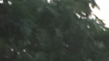 Violencia en Sinaloa