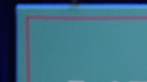 Trump logró mayor voto entre latinos que en 2020.