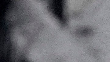 El jardinero dominicano Teoscar Hernández celebrando la conquista de la Serie Mundial por parte de Los Angeles Dodgers.