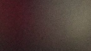 Pep Guardiola, DT del Manchester City.