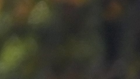 Momento en el que Abdi Nageeye cruza la meta.