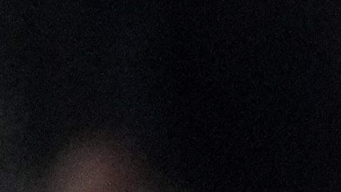 Los Angeles Dodgers' Freddie Freeman celebrates after hitting a walk-off grand slam during the 10th inning in Game 1 of the baseball World Series against the New York Yankees, Friday, Oct. 25, 2024, in Los Angeles. (AP Photo/Mark J. Terrill)