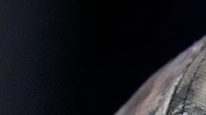 Los votantes de Harris mostraron preocupación desde anoche.