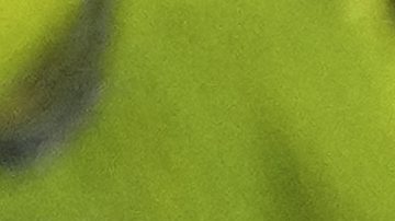 El partido se retrasó un par de minutos.