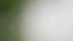 Biden, Meloni y Trudeau llegan tarde a la foto de la Alianza contra el Hambre del G20