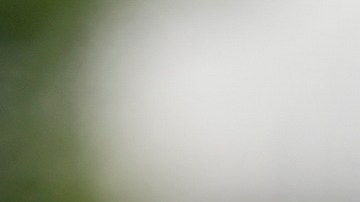 Biden, Meloni y Trudeau llegan tarde a la foto de la Alianza contra el Hambre del G20