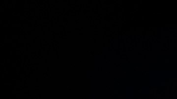 Erling Haaland, una de las estrellas del Manchester City, estaría en problemas con la ley de Suiza por no pagar una multa.