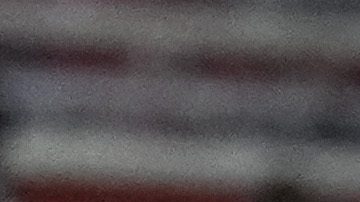 Cody Gakpo celebra el segundo tanto del Liverpool al Real Madrid.