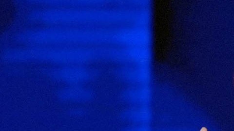 Adam Daniel Kinzinger, exrepresentante por Illinois