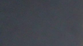 Adamari López y Toni Costa se separaron en el 2021, sin embargo, mantienen una buena relación