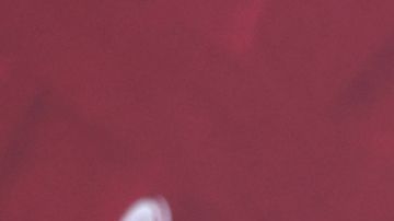 Alejandro Sanz y Candela Márquez