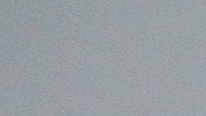 Black Friday en Amazon: el mejor accesorio para cuidar a tu perro baja de $99 a $45