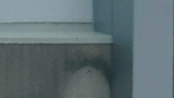 El vuelo de Frontier se dirigía a Dallas, y el vuelo de American Airlines llegó a Boston desde Londres.