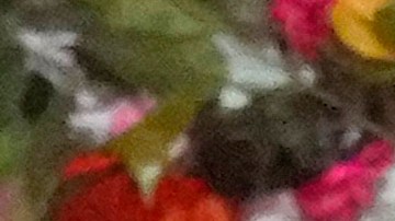 Ángela Aguilar Kid's Choice Awards 2024