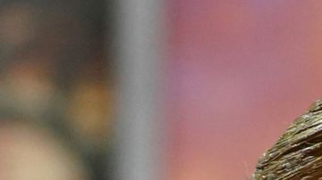 Ariana Grande Danna Paola premiere Wicked