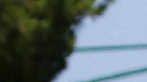 Gobernadora de Arizona mantendrá la Guardia Nacional en la frontera en Gobierno Trump