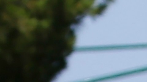 Gobernadora de Arizona mantendrá la Guardia Nacional en la frontera en Gobierno Trump