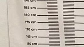 Arresto de pareja estadounidense