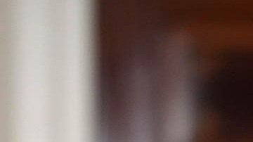 Joe Biden, presidente estadounidense