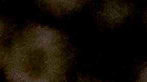 Bolsa de Valores victoria Donald Trump