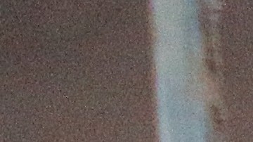 Dos agentes fueron mordidos por el perro cuando se abalanzó sobre ellos y uno de ellos disparó contra el animal.