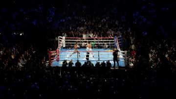 Boxeo hoy en vivo